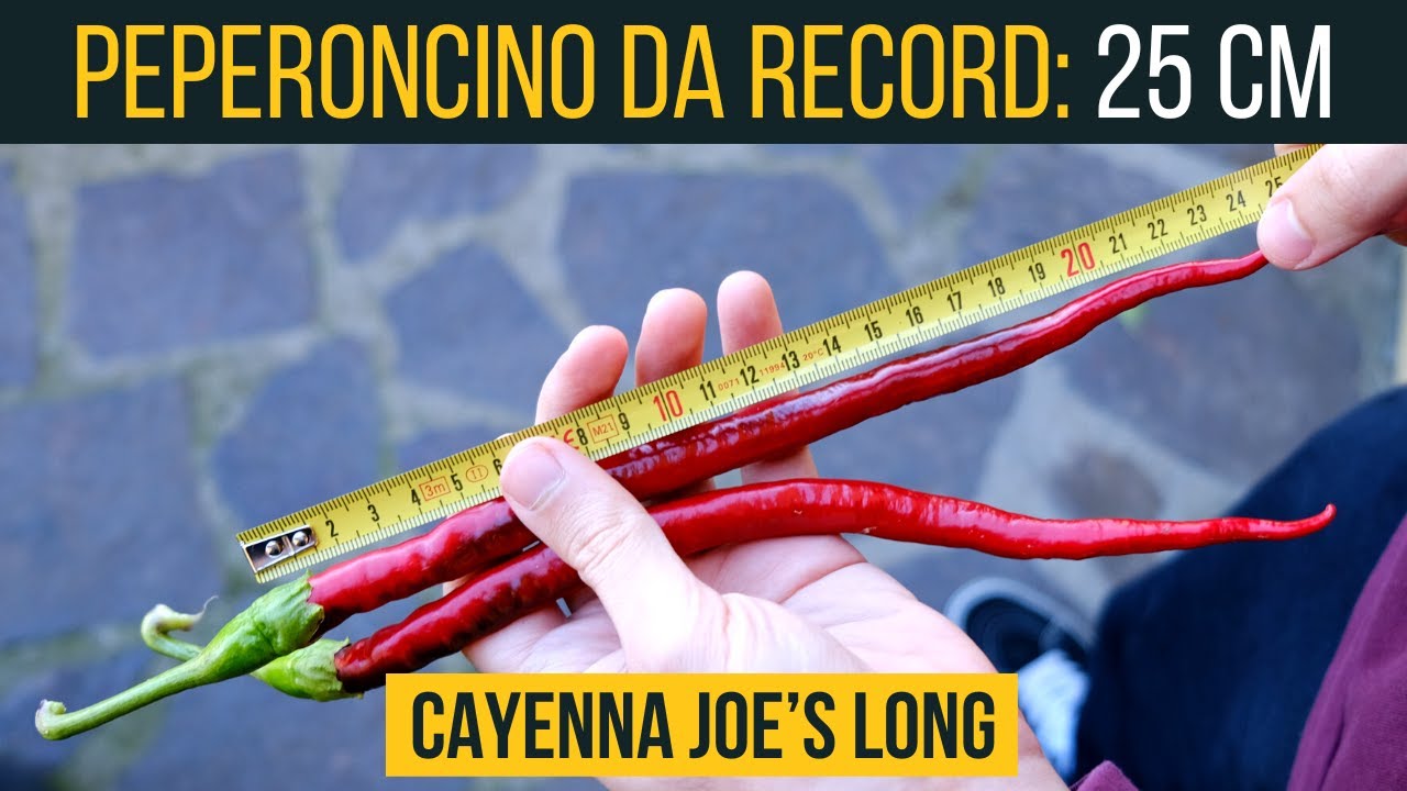 Peperoncino da record🏆! Cayenna Joe's long🌶 | Episodio 3 | Food Stories
