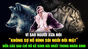 Người xưa nói "Không sợ hổ rình sói ngồi đối mặt” nửa câu sau chỉ rõ kẻ đáng kinh hãi nhất nhân sinh