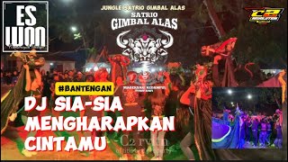 DJ BANTENGAN SIA-SIA MENGHARAPKAN CINTAMU feat SATRIO GIMBAL ALAS