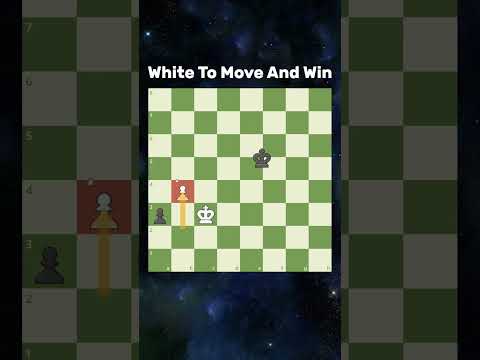 What Else Can You Even Do