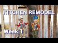Kitchen remodel week 1