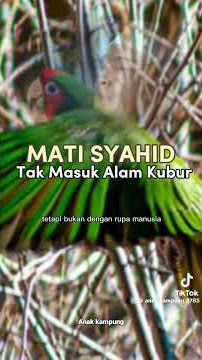 ya Allah ya uzuqni syuhada#syahid #sugar