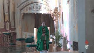 27th Sunday of the Year - October 3, 9am Mass - Presider: Fr. Jesudas Gudime