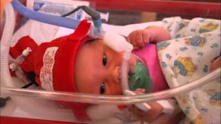 Audrey's first year - Let the Journey begin