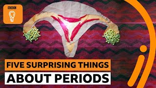 Five things you probably didn’t know about periods | BBC Ideas