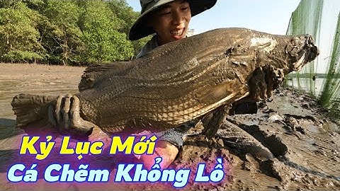 Quá Dữ ! Bao Đăng Dính Cá Chẽm Siêu To Khổng Lồ | Gia Đình Cần Giờ .130 |