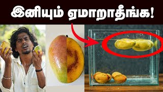 தித்திக்கும் மாம்பழம் இப்படி வாங்குங்க | How to find Good Mango | summer season | வெயில் காலம்|cool