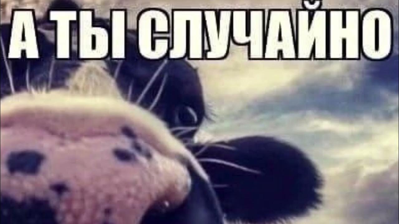 Слушай, а ты случайно не - YouTube