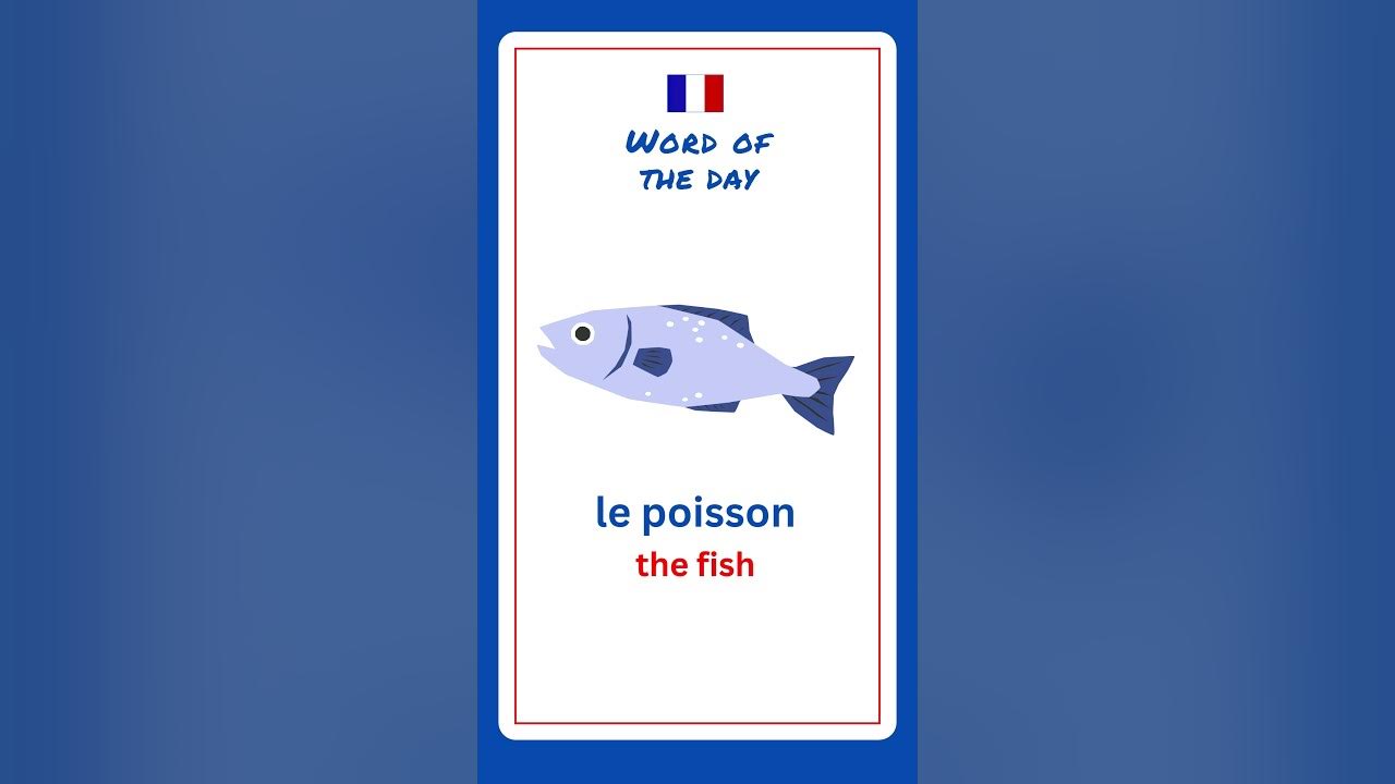 How To Say Fish In French French For Beginners YouTube how-to-say-fish-in-french-french-for-beginners-youtube