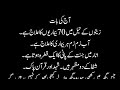 Rise Islam Is Live Rise Islam Is Live