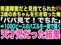 【感動する話】「パパ見て、でちた」1000ピースのパズルを完成させた3歳児。発達障害だと親に捨てられたこの子は、実は誰も気づかなかったギフテッドの天才だった。俺たちが引き取り家族になるとは…【朗読】