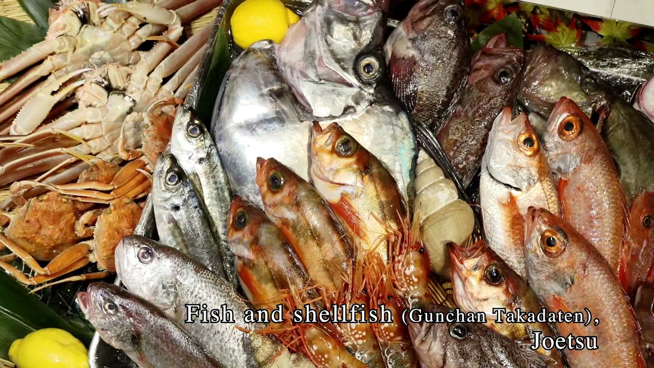 Joetsu/Myoko/Itoigawa region