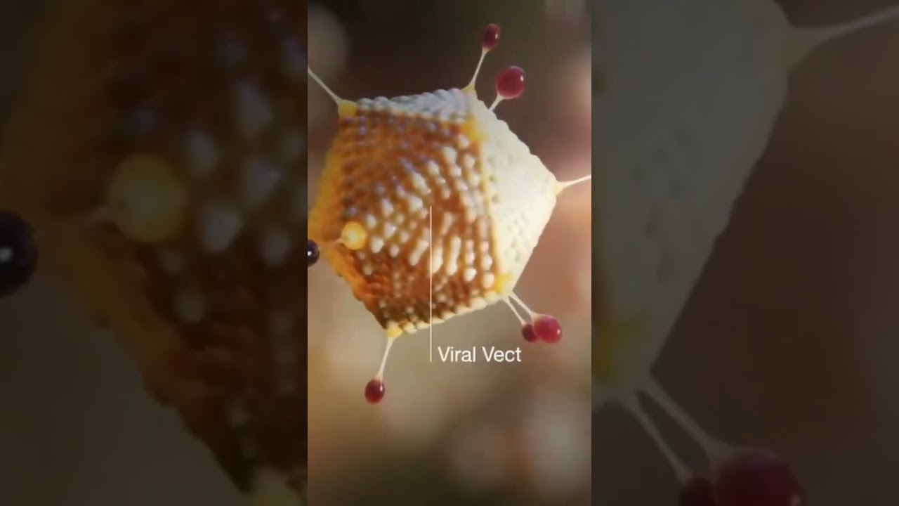 Astrazeaca COVID-19 vaccine RNA and DNA||