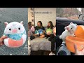 Squishmallow Tiktoks that made me buy another bed for them #70