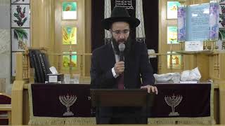 הרב אלמוג לוי - מלחמת היצר הרע