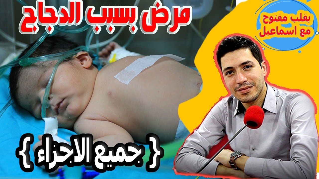 مرض بسبب الدجاج عبد النور من طنجة 44 {جميع الاجزاء} بقلب مفتوح مع اسماعيل bkalb maftouh m3a Ismail
