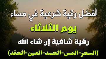أفضل رقية شرعية في مساء يوم الثلاثاء لعلاج الحسد_السحر_العين _حفظ وتحصين للمنزل _القارئ علاء عقل