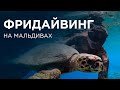 Мальдивы. Maldives. Trip expert Михаил Карпович ( Mikhail Karpovich )