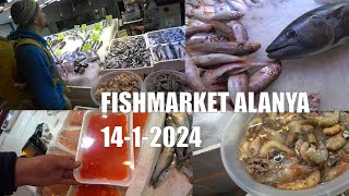 ALANYA FISHMARKET СМОТРИМ ЦЕНЫ ПОКУПАЕМ РЫБУ 14 ЯНВАРЯ 2024 ВПЕРВЫЕ ЗА 3 ГОДА Я СНОВА ЗДЕСЬ