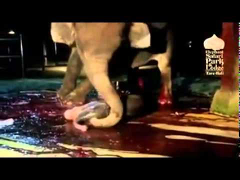 gizemli elbise erotik soyunma