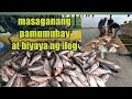 pampanga river + dadong dam + masaganang huli ng isda + simpleng pamumuhay