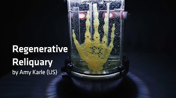 Regenerative Reliquary