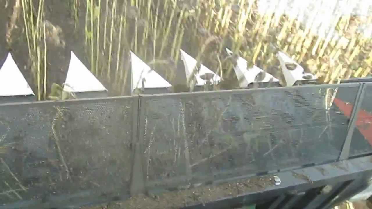 Жатка OptiSun-870+JD: www.optigep.ru.MOV