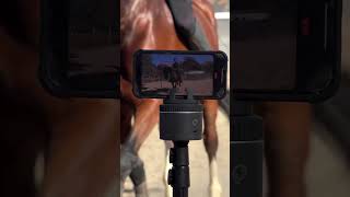 Horse Trainer Olivia Simonetti shares her #PivoPOV