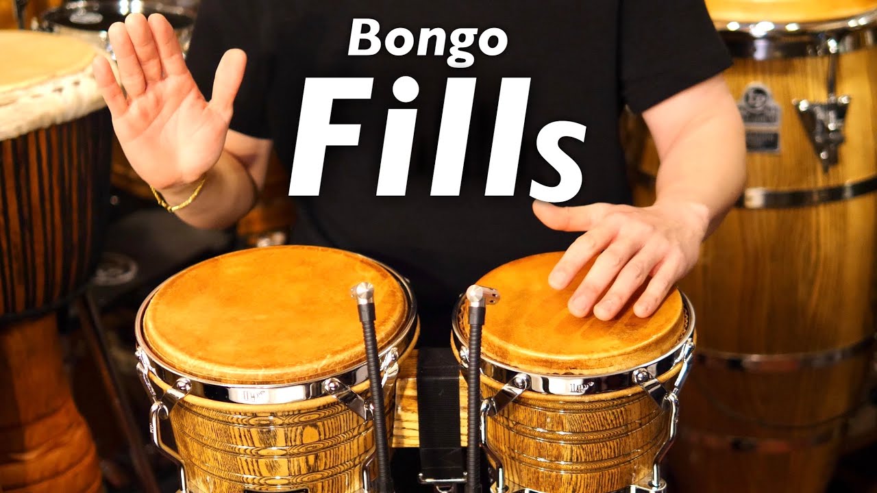 Brazil-Raul社　ボンゴ The Ultimate Bongo Fill-in Guide: 29 Essential Patterns - YouTube