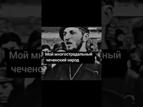 Мой многострадальный чеченский народ #чеченцы #shorts #traktorist
