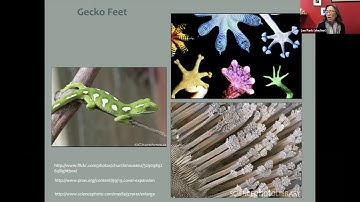 Virtual Ephs: Lifelong Learning Lecture with Professor Lee Park | SoA Bicentennial