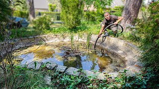 50 Jahre alten Teich auspumpen und restaurieren
