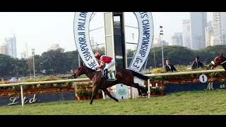 ABSOLUTE GORGEOUS wins The Star Shine Trophy Div-1