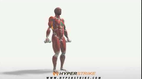 Exercise Videos- Dumbbell Lateral Raise -- Standing