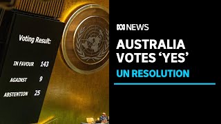 Australia votes 'yes' at UN as Palestinian push for full membership gathers momentum | ABC News