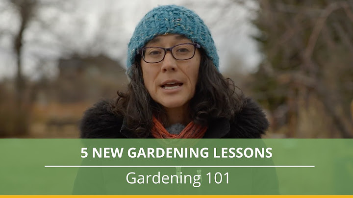 5 Surprising Gardening Lessons From This Growing Season