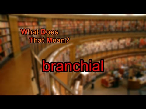 What does branchial mean?