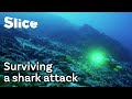 Risking lives for the corals of Polynesia | SLICE