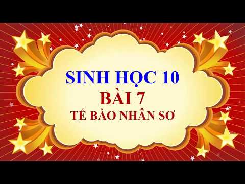 Video Sinh học lớp 10 - Bài 7 - Tế bào nhân sơ - YouTube