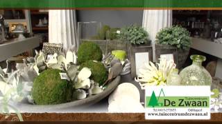 Tuincentrum De Zwaan commercial