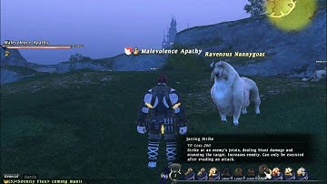 Pugilist Part 2 FFXIV