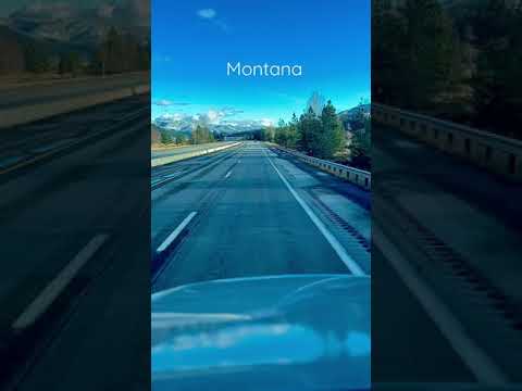 Video: Kolik stojí obnovení licence v Montaně?