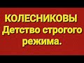 Семья Колесниковых/Новости из Запердухи.