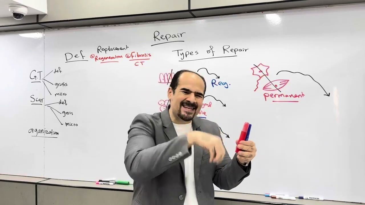 Repair 1 lDr. Khalifa 198