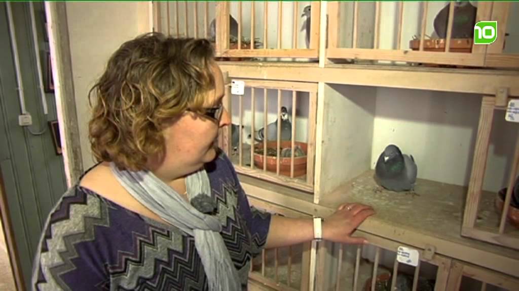 Aflevering 10 - Mijn Hobby en Ik