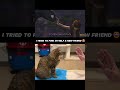 Strikes up a friendship with a newcomer #familyfun #funny #viral #shorts #viralshorts #memes