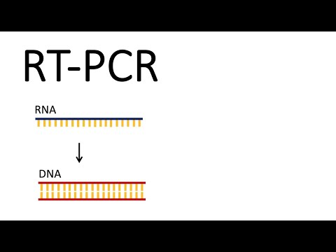 Video: Ano ang ginagamit ng reverse transcription PCR?