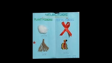 Project on Natural Fiber  #project#naturalfibers#educationalvideo #shortvideos