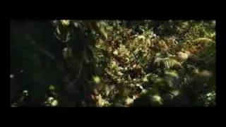 "Apocalypto" A Mel Gibson Film "Apocalypto" A Mel Gibson Film