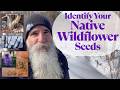 Winter Seed Identification, Native Habitat Restoration &amp; A Garden Memory — From Sweet Gale to Oaxaca